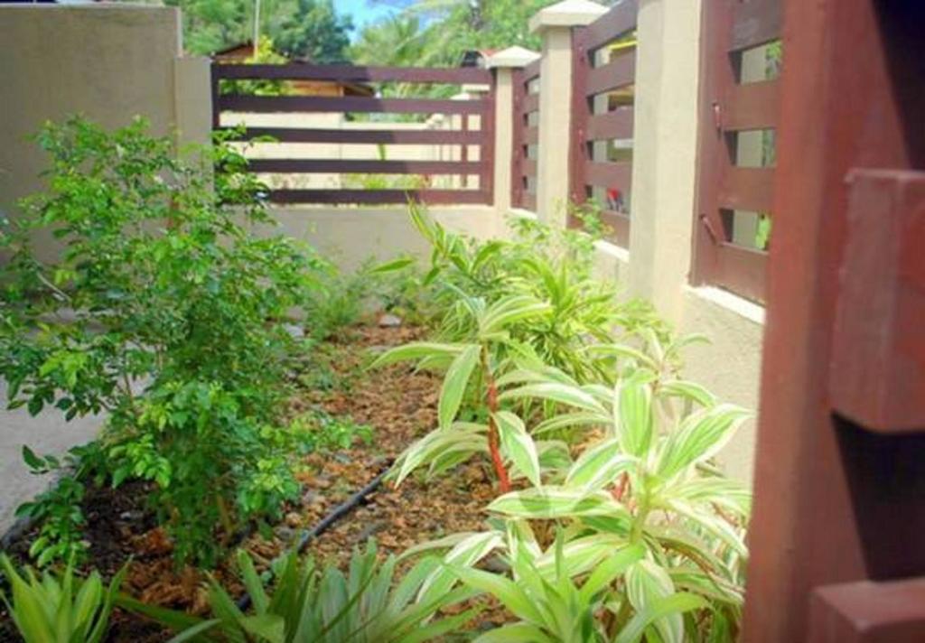 Gaea'S Apartments Panglao Exterior foto